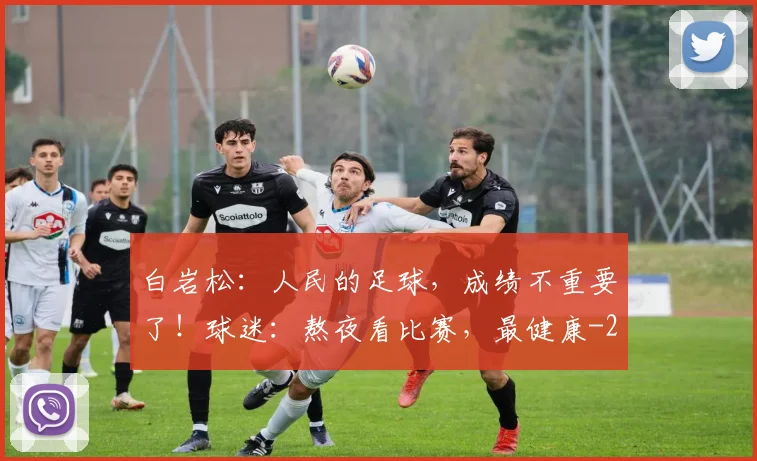 白岩松：人民的足球，成绩不重要了！球迷：熬夜看比赛，最健康