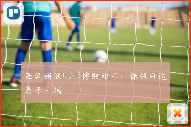 西汉姆联0比3惨败纽卡，保级命运悬于一线