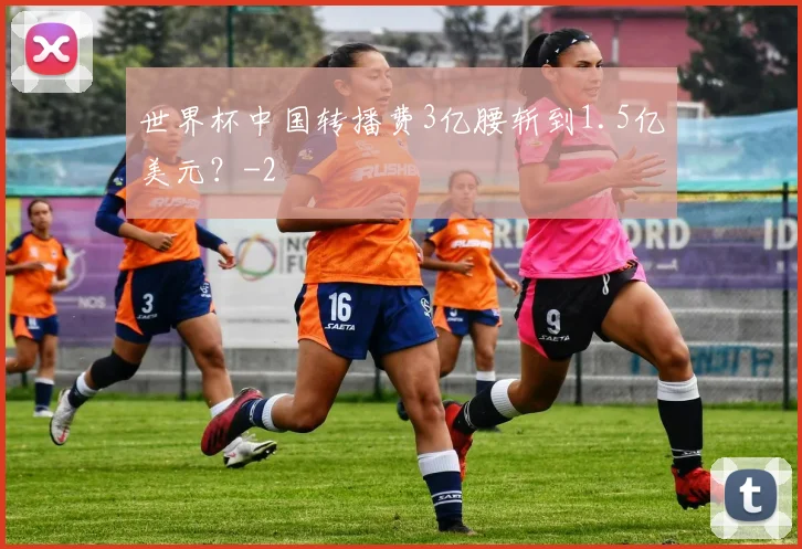 世界杯中国转播费3亿腰斩到1.5亿美元？